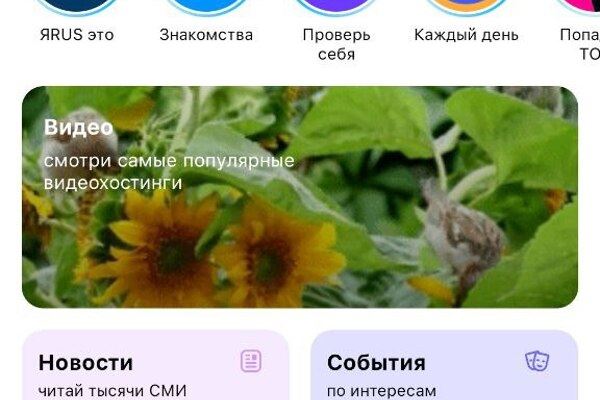 ТОП-6 социальных сетей в России на 2022: список русских соцсетей