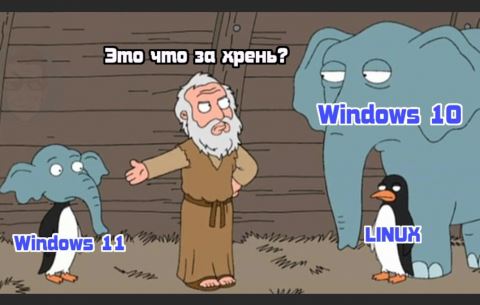 Windows 11 стала доступна всем. Как загрузить